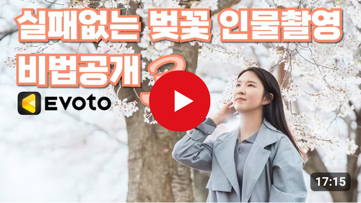 역대급 벚꽃 화보 만드는 법