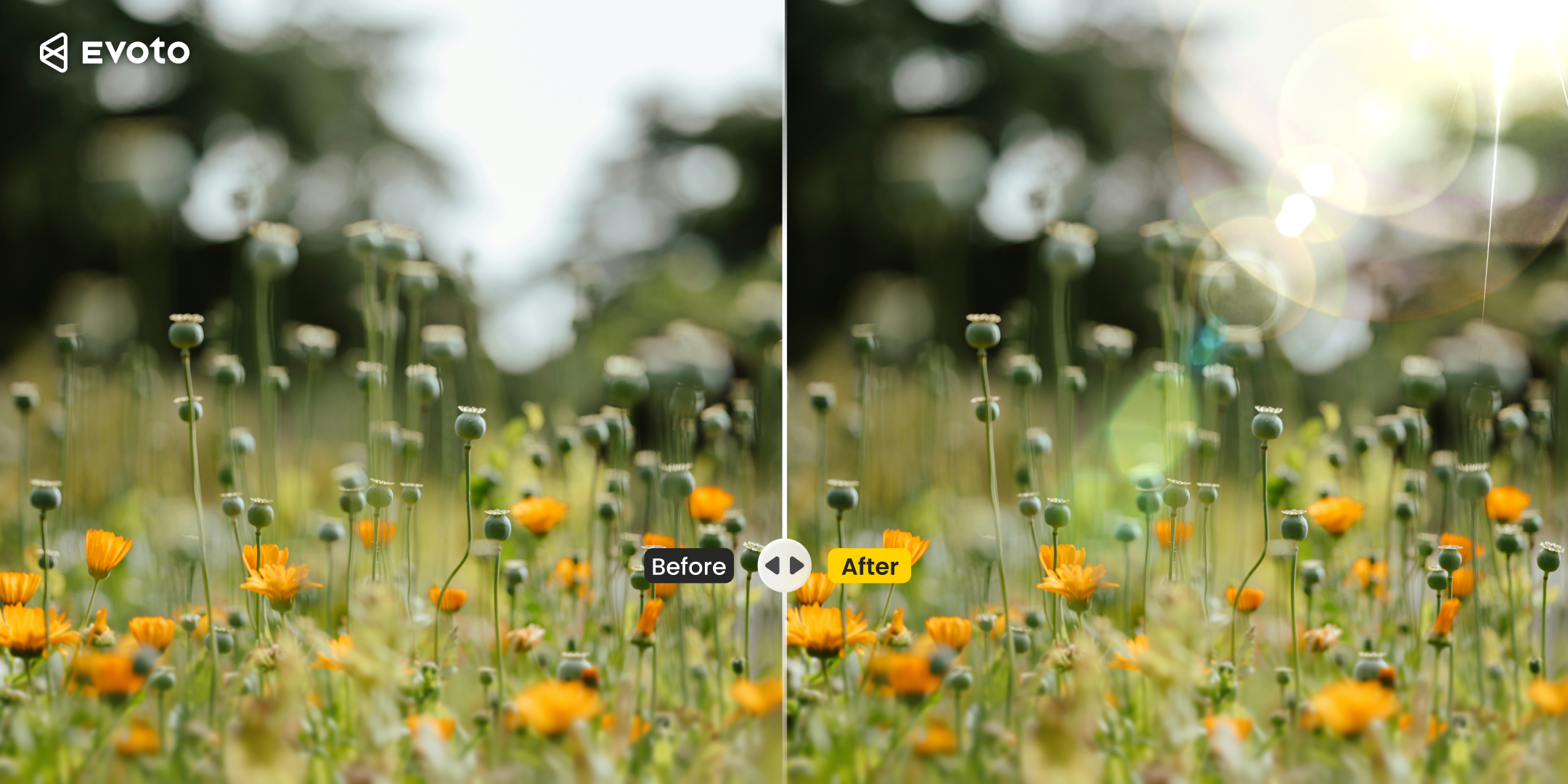 햇살 합성 에셋